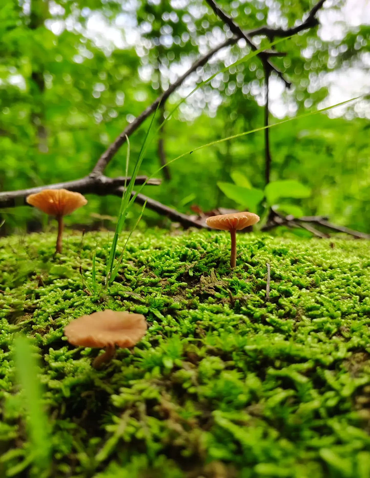 Autumn image