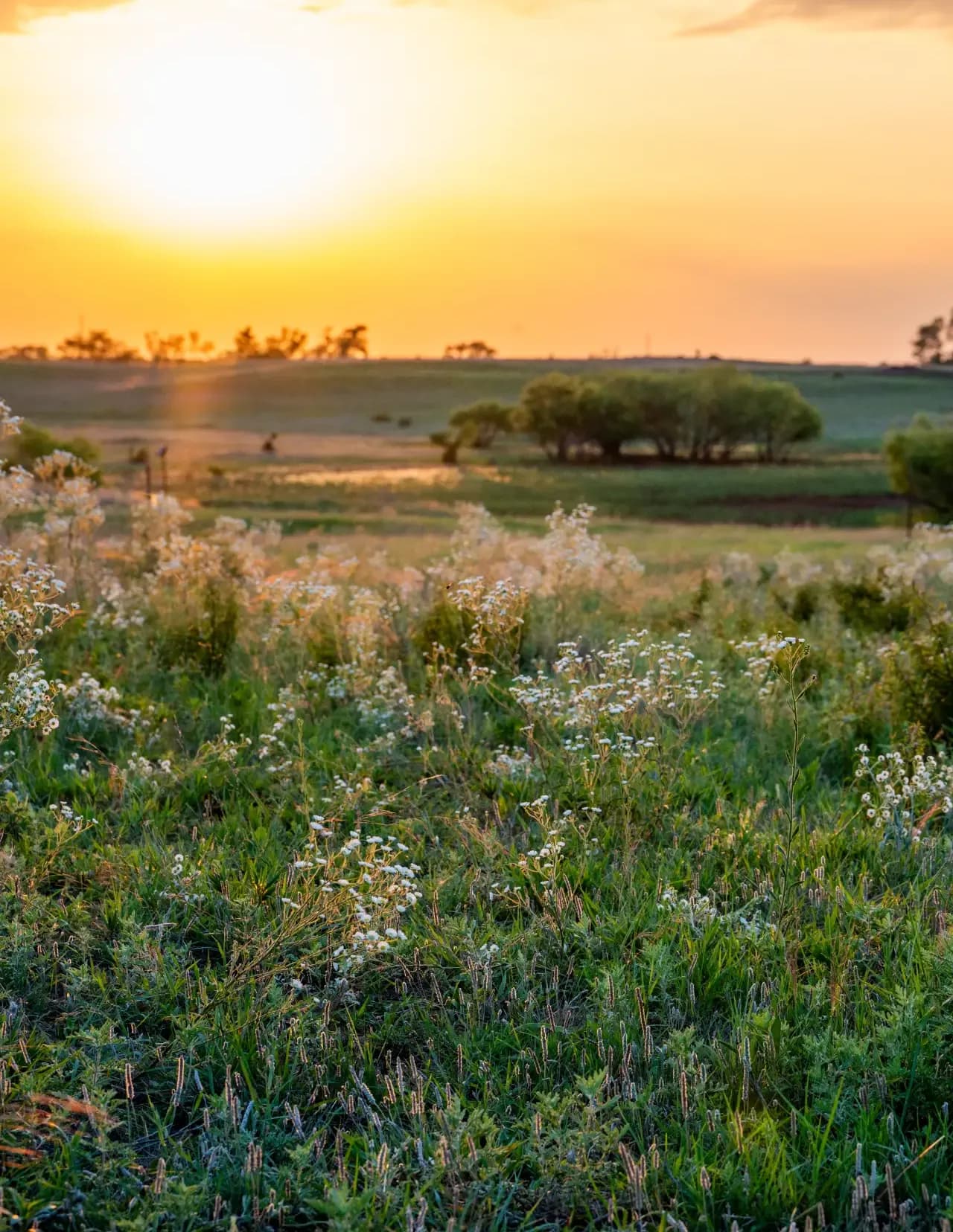 Cimarron Sky Photography image