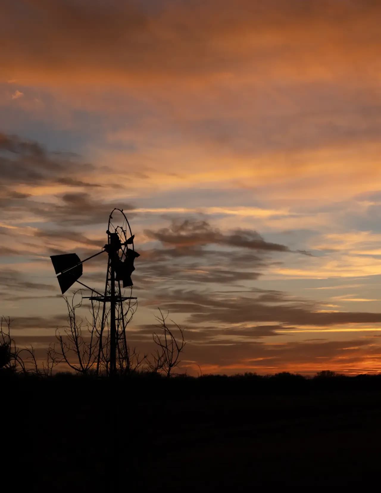 Cimarron Sky Photography image