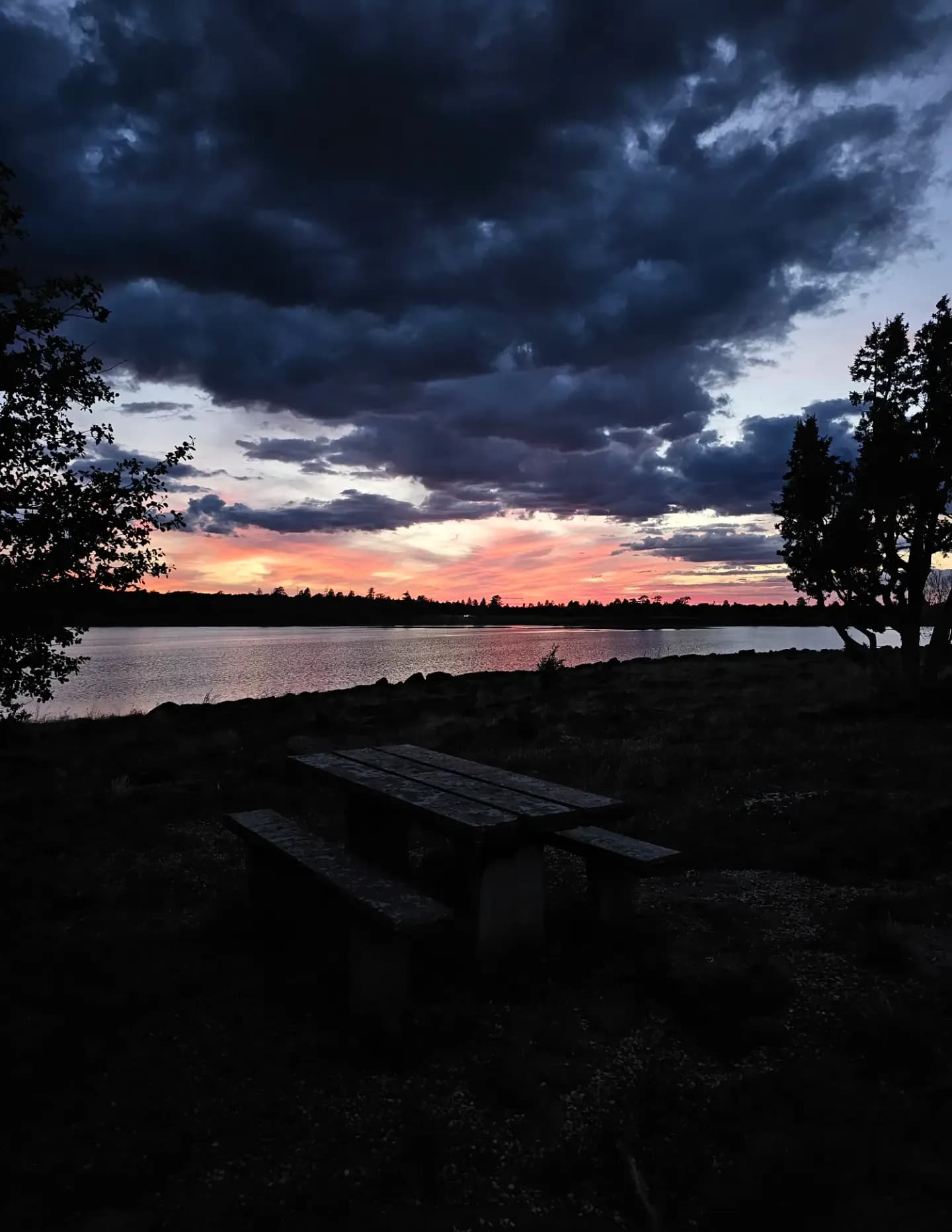 Feral_Lense image