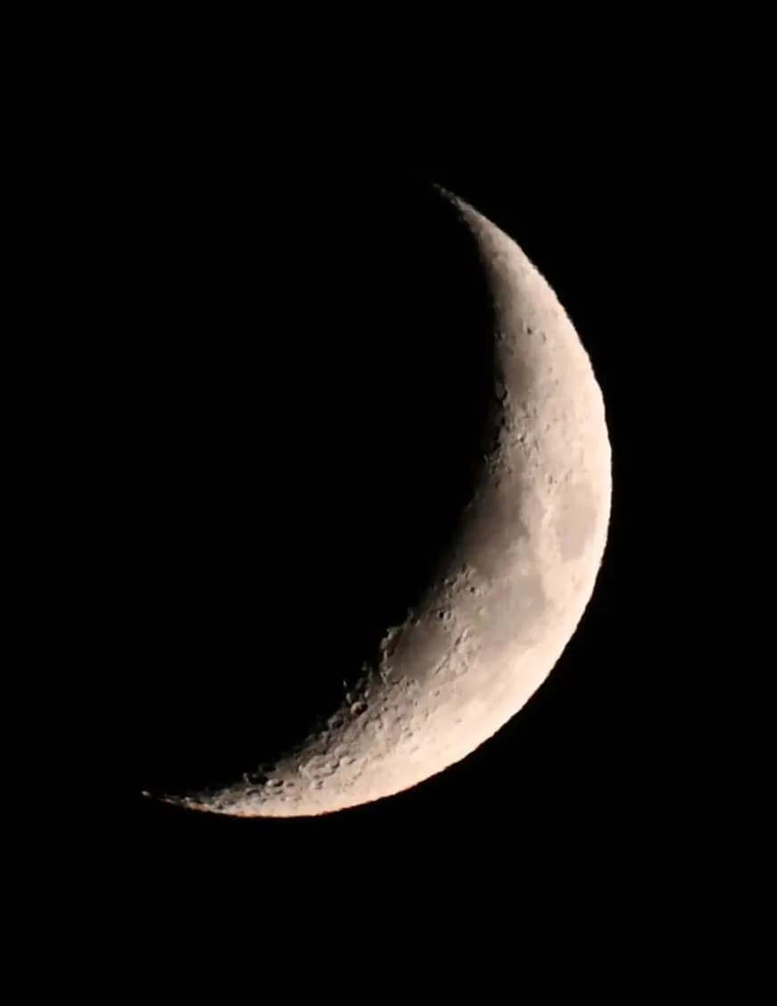 E. Hepler image