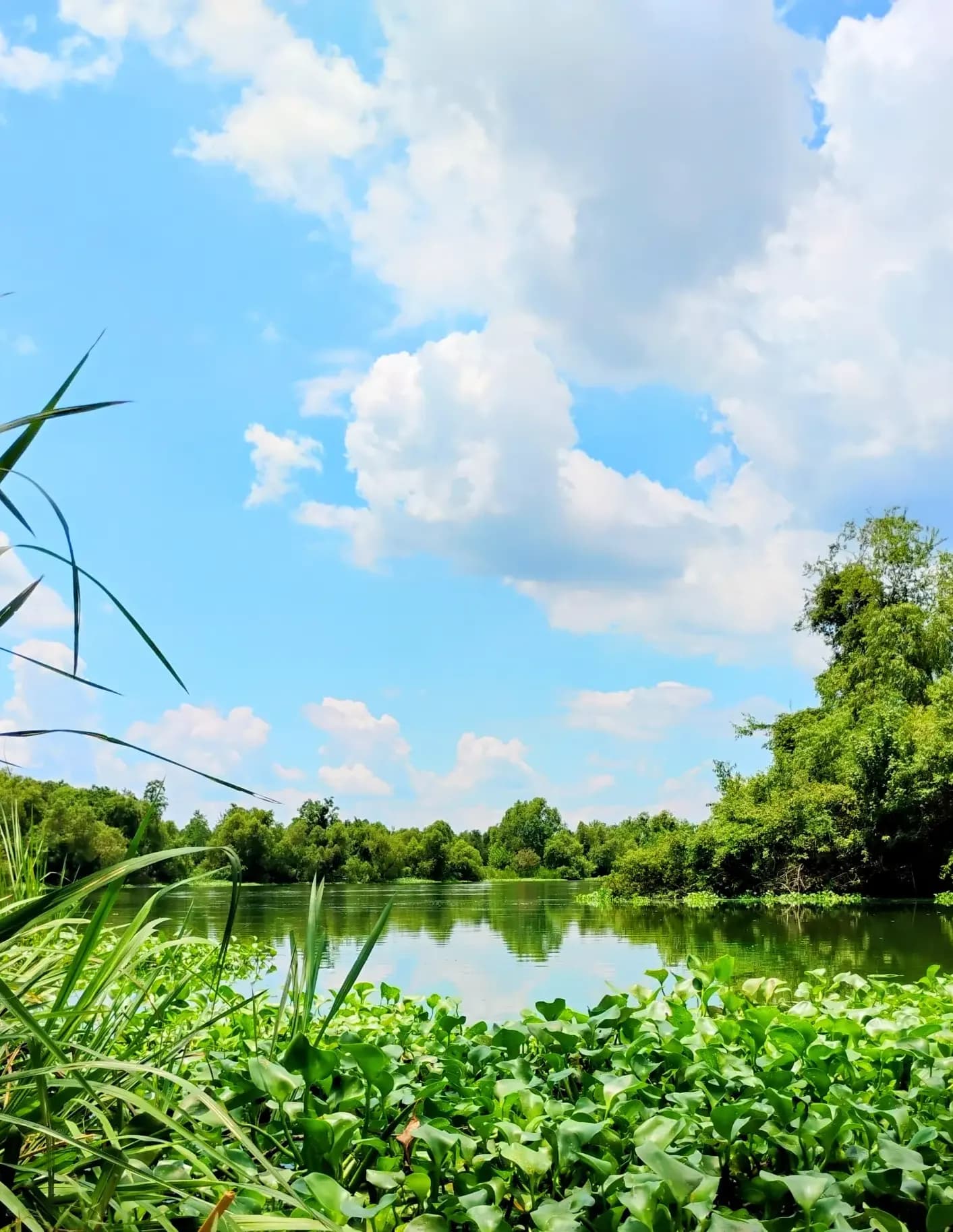 SamSnaps image