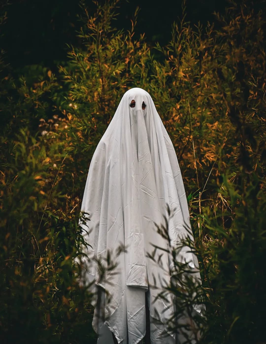 Lyssa image