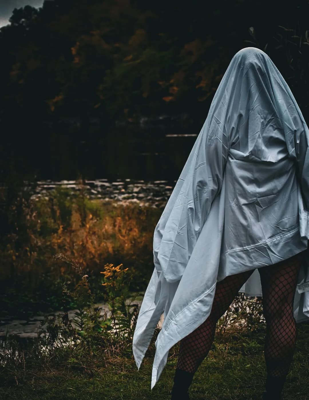 Lyssa image