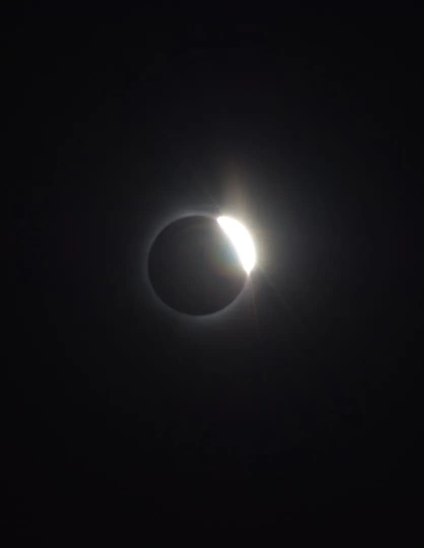 Lyssa image