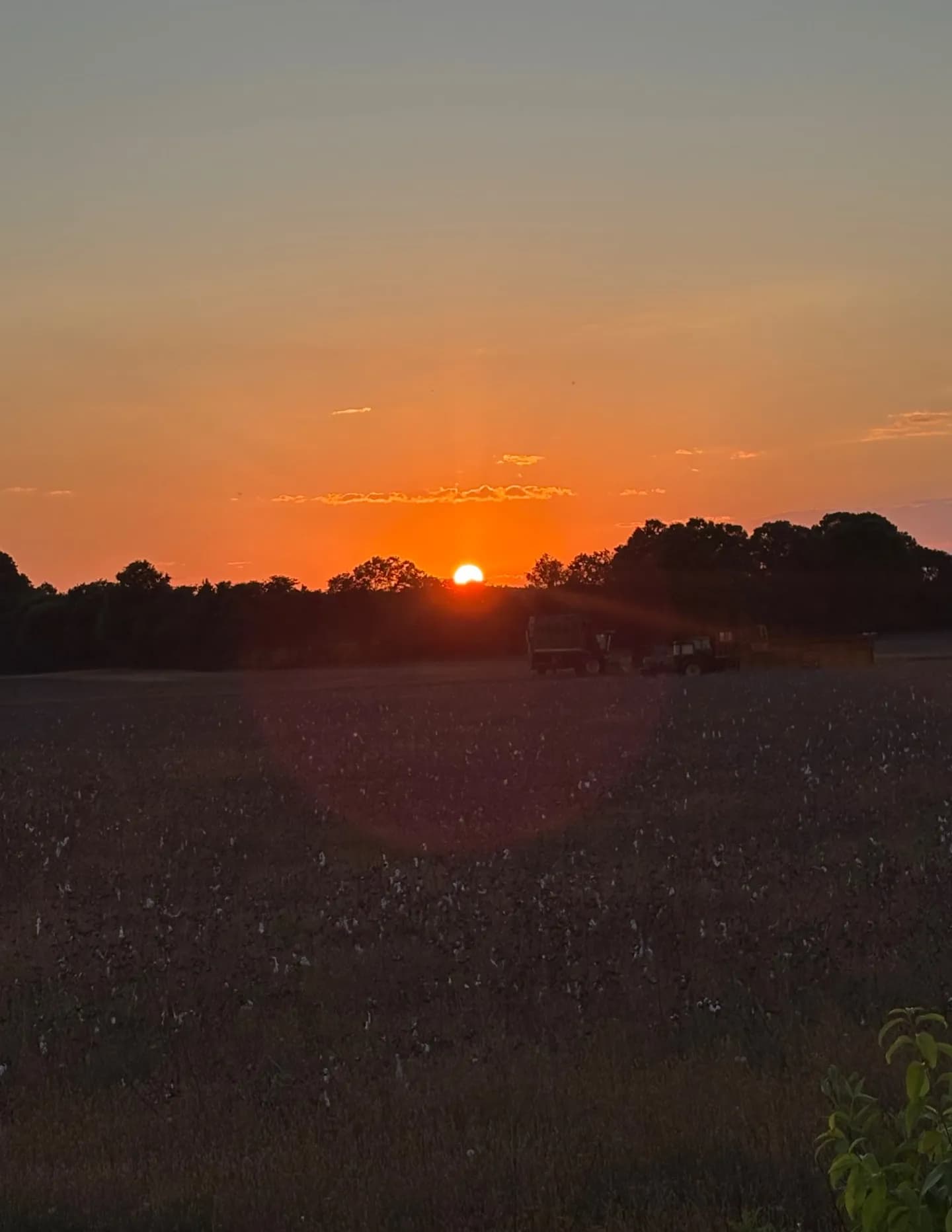 Klw917 image