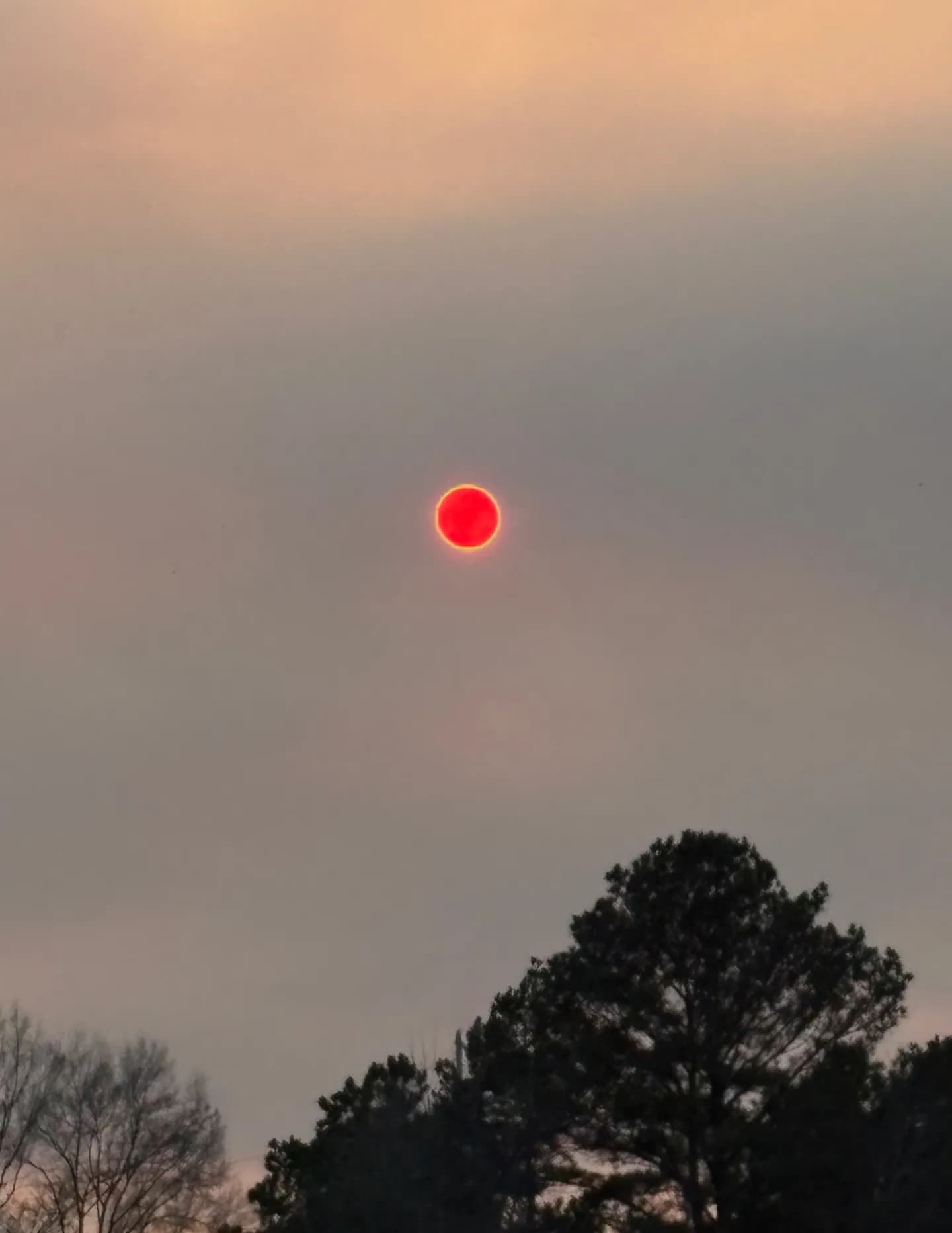 Klw917 image