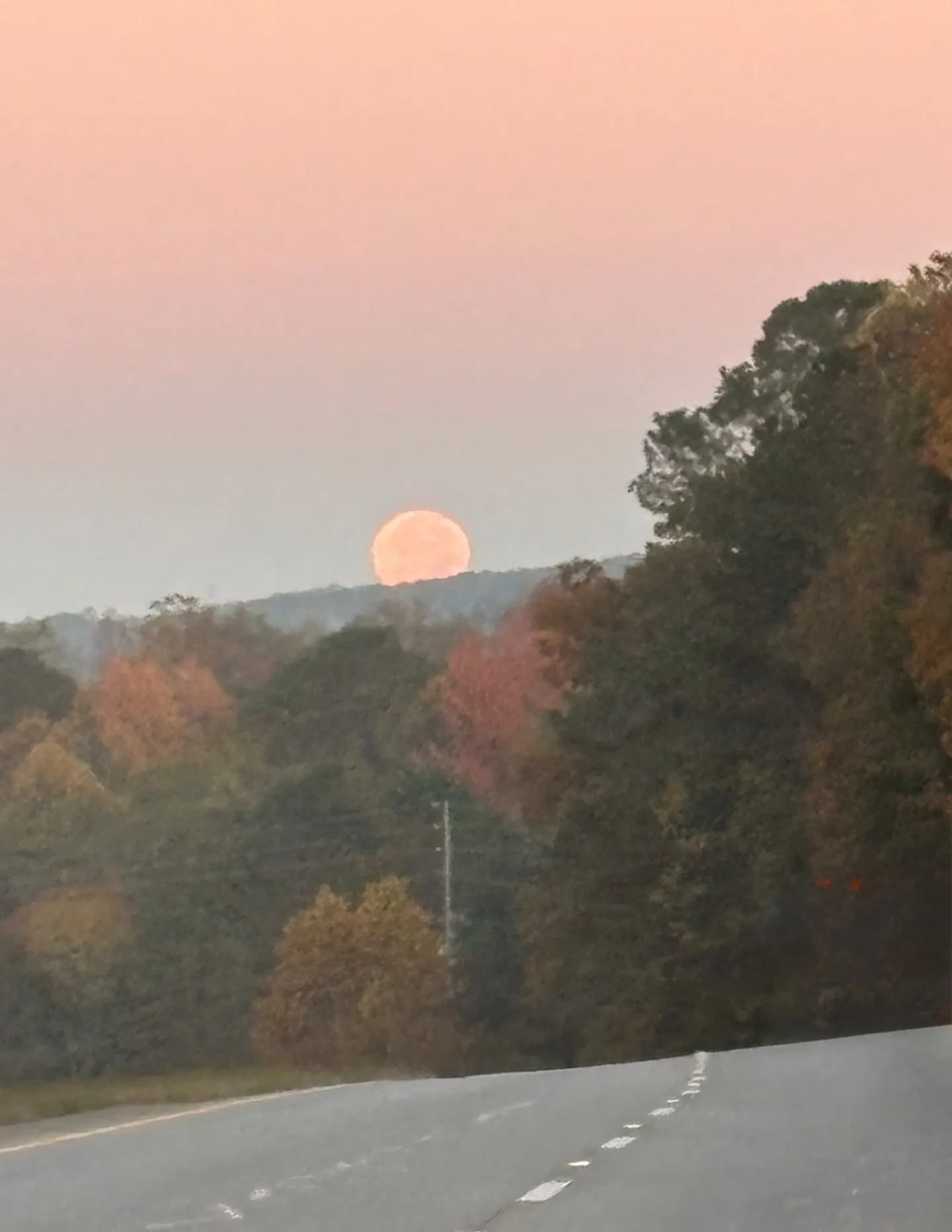 Klw917 image
