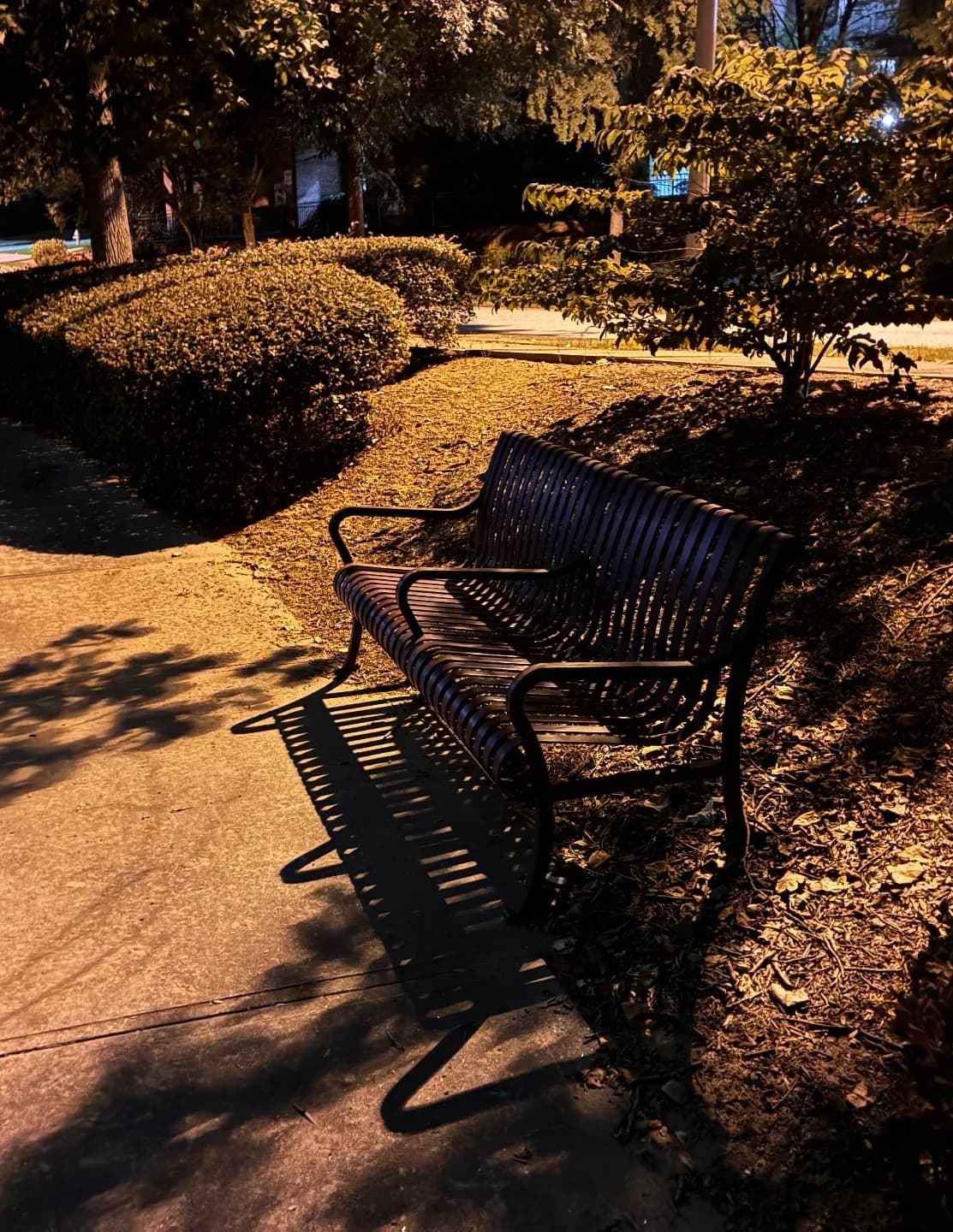 Verticy_ image