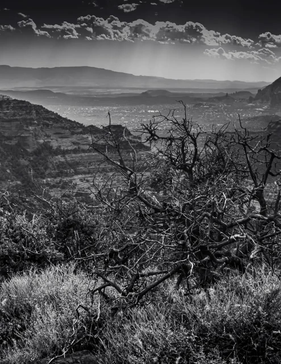 R. Harris Photography image