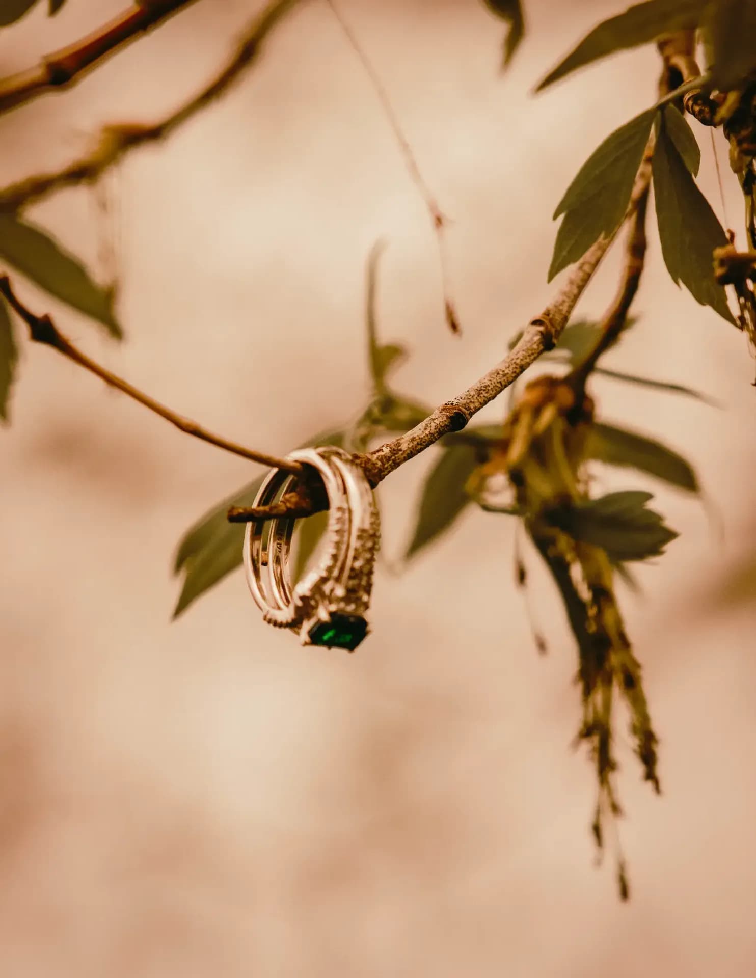Kayla Szerkins Photography image