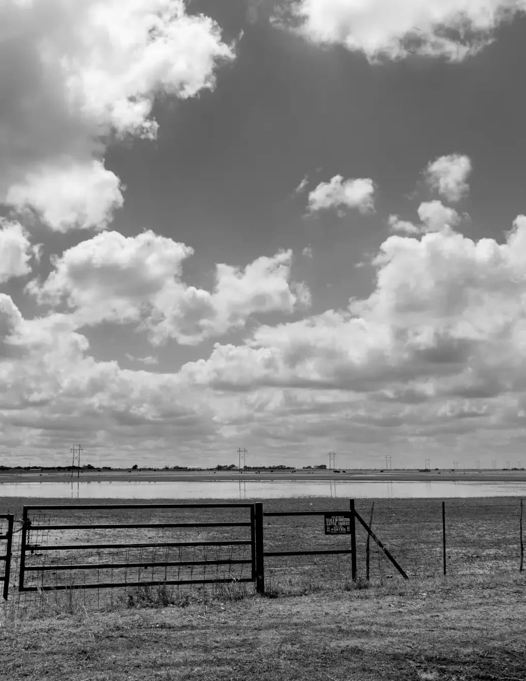 DavidRPhotography image