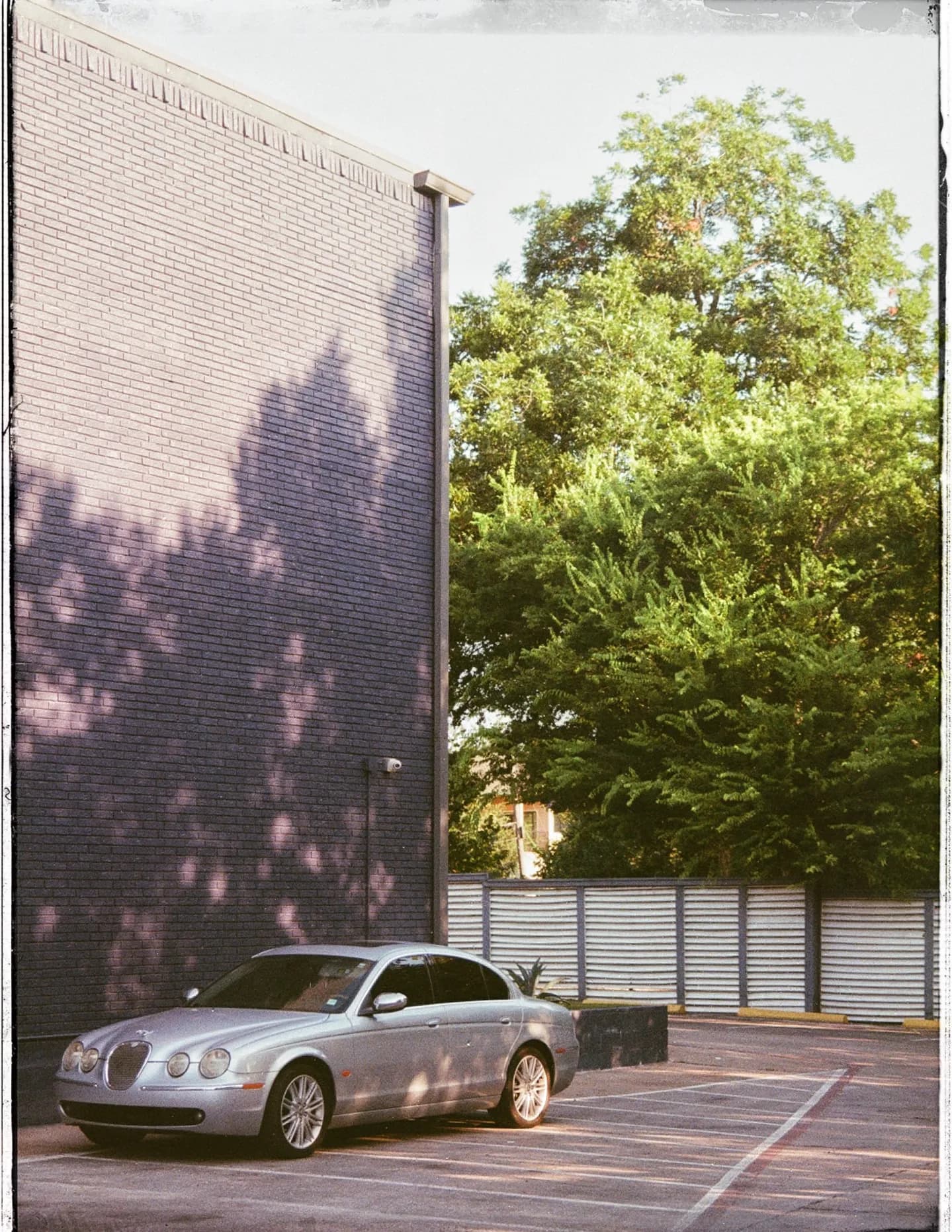 Bradford image