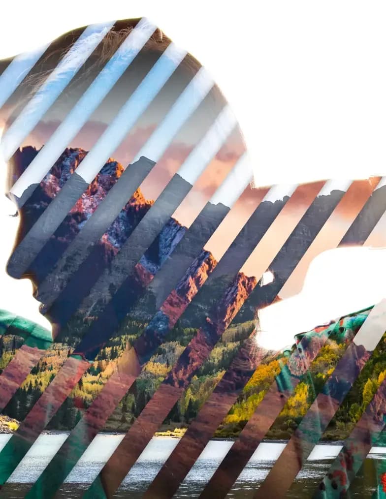 TDTayla image