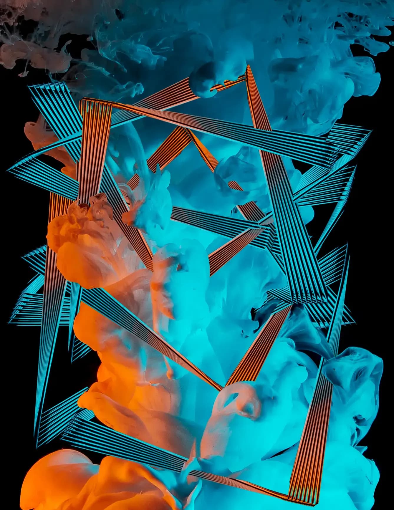 TDTayla image