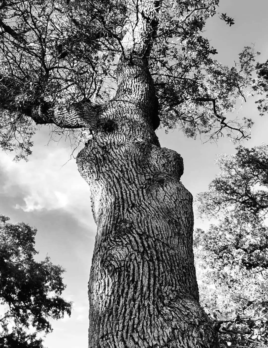 Jeffrey Alan Banach image