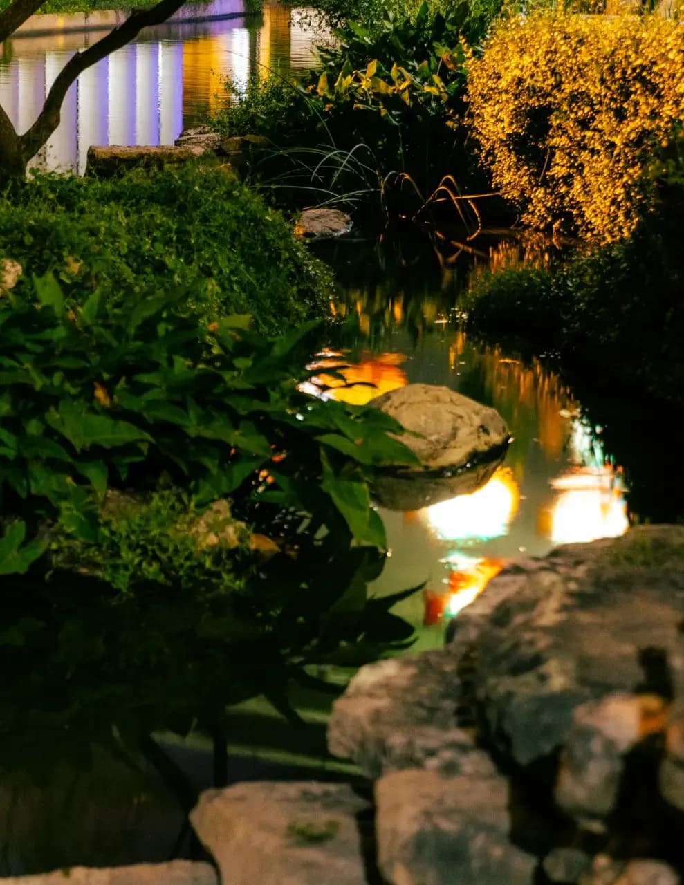 Christo Lee Photography image
