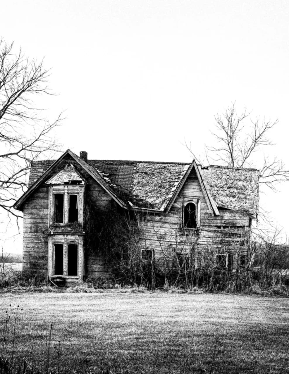 R Scott Taylor image