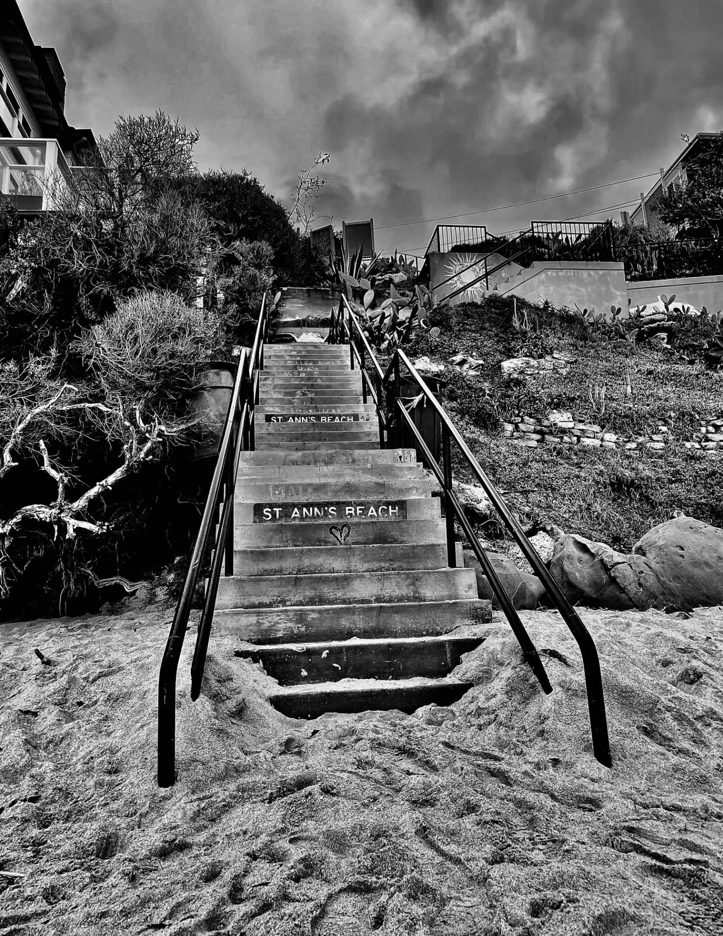 Through Dayan’s Eyes image