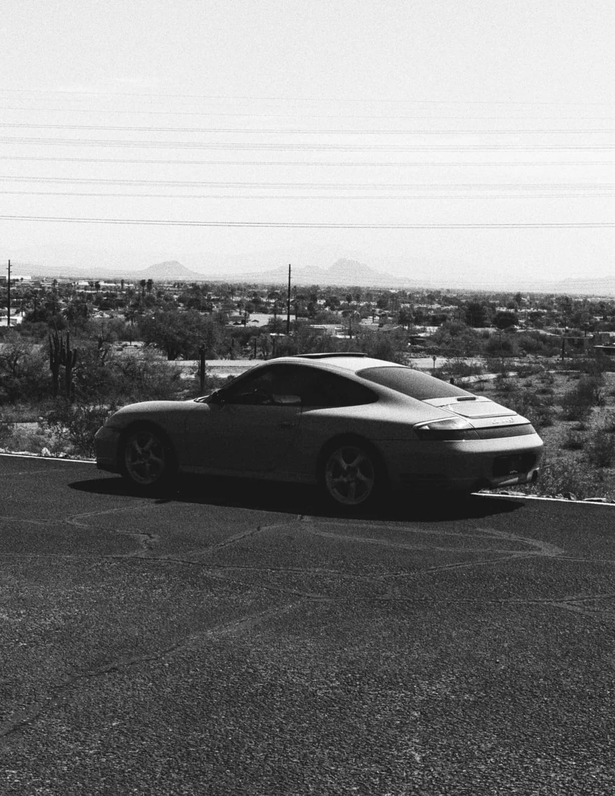 competitor rLW08