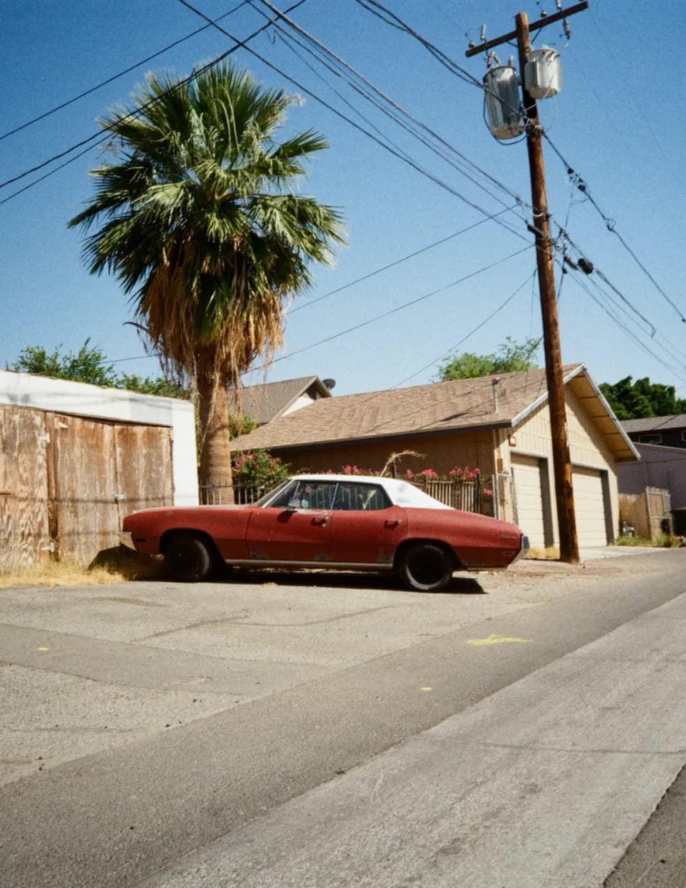 Taylor Millsap-@popnvisuals image