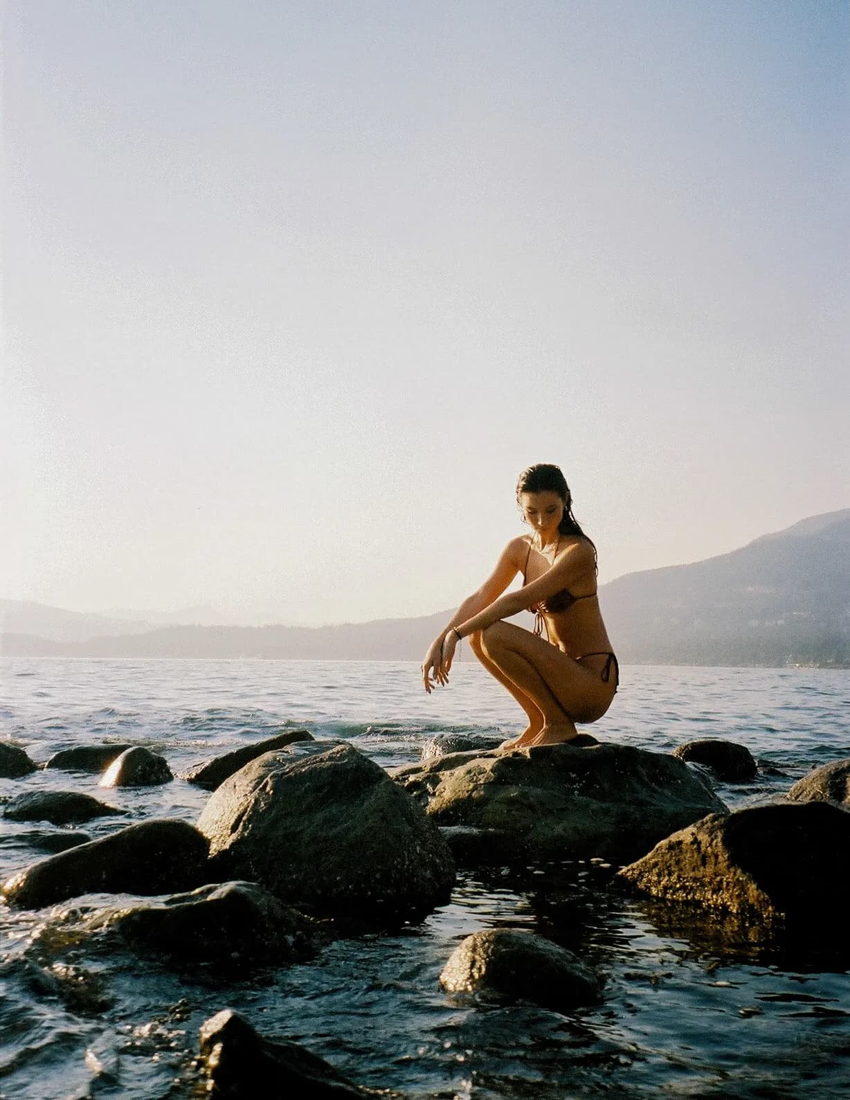 Vanessa Alessio image