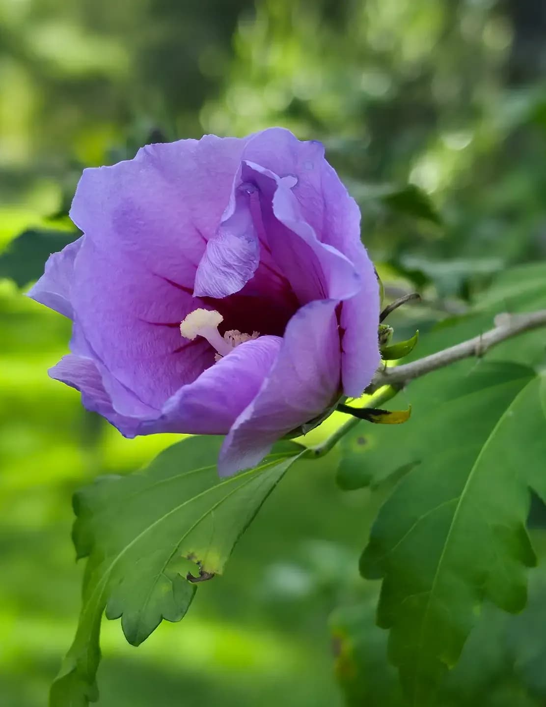 HiddenWorthPhotography image