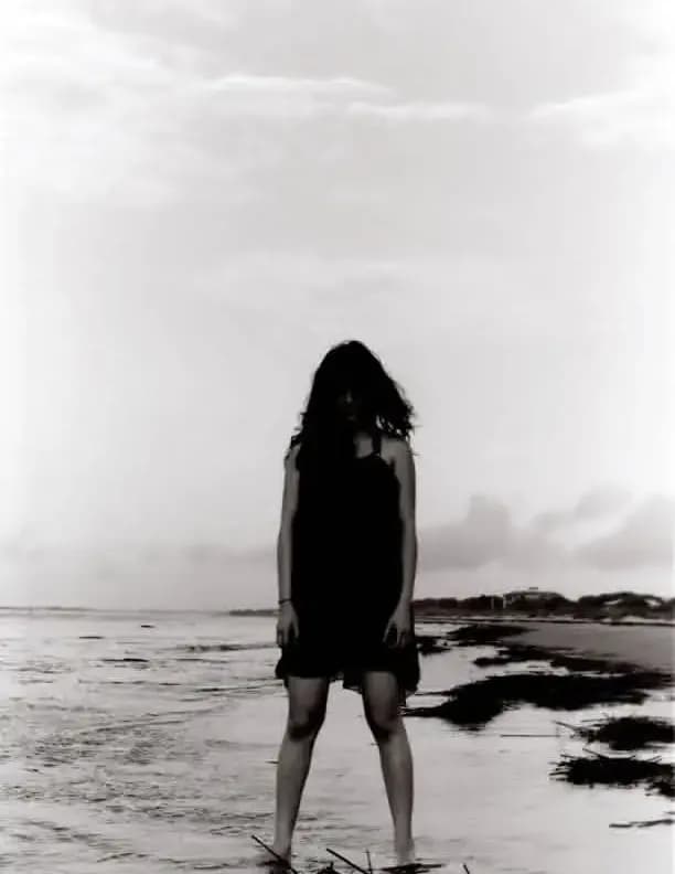 Lerraine image