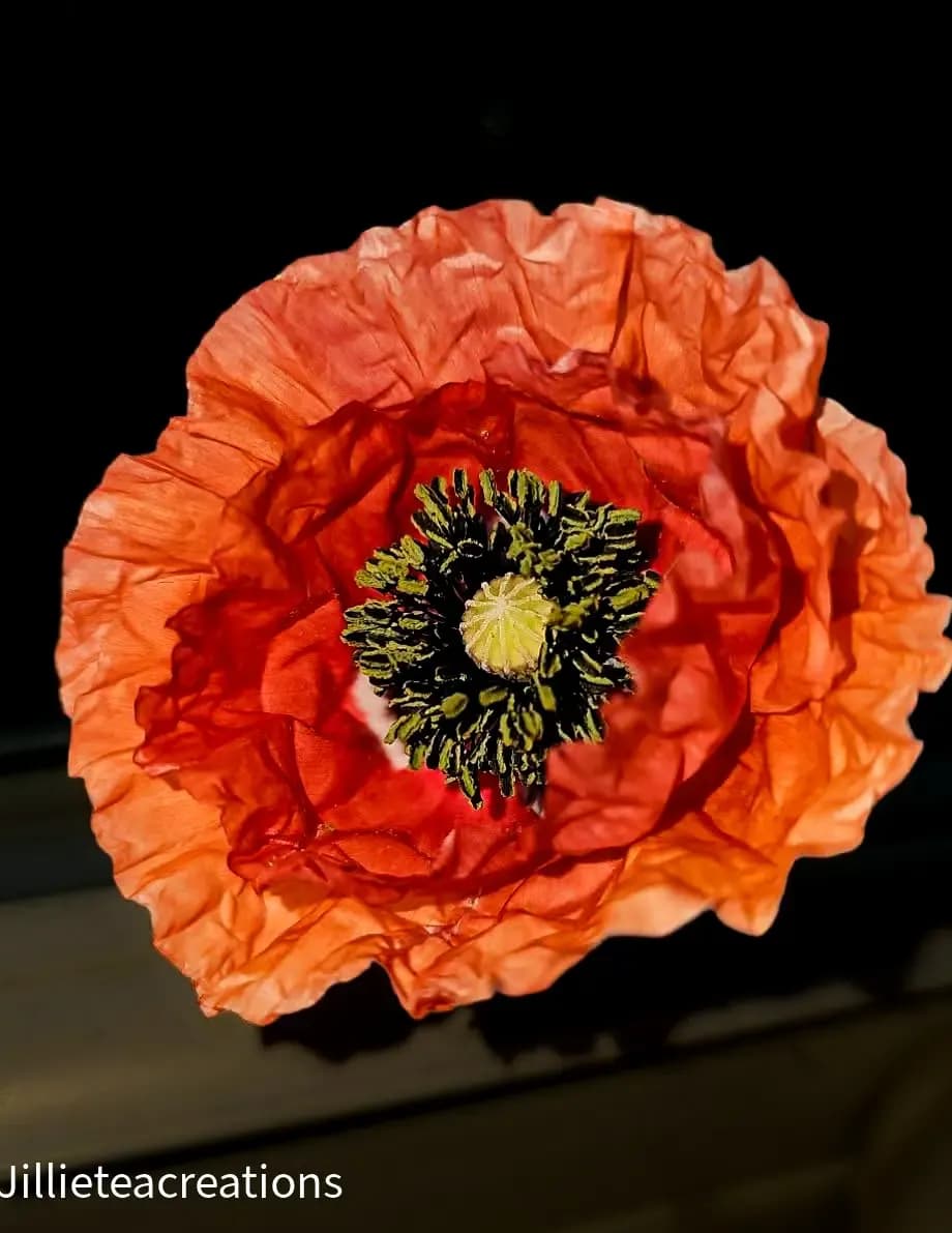 Jillie Tea creations image