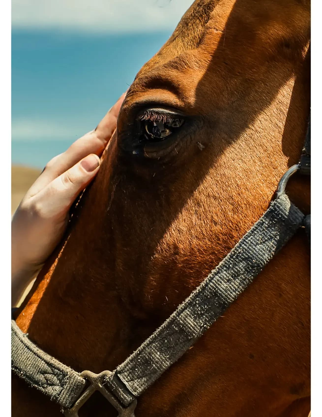 Mariah Ann Photography image