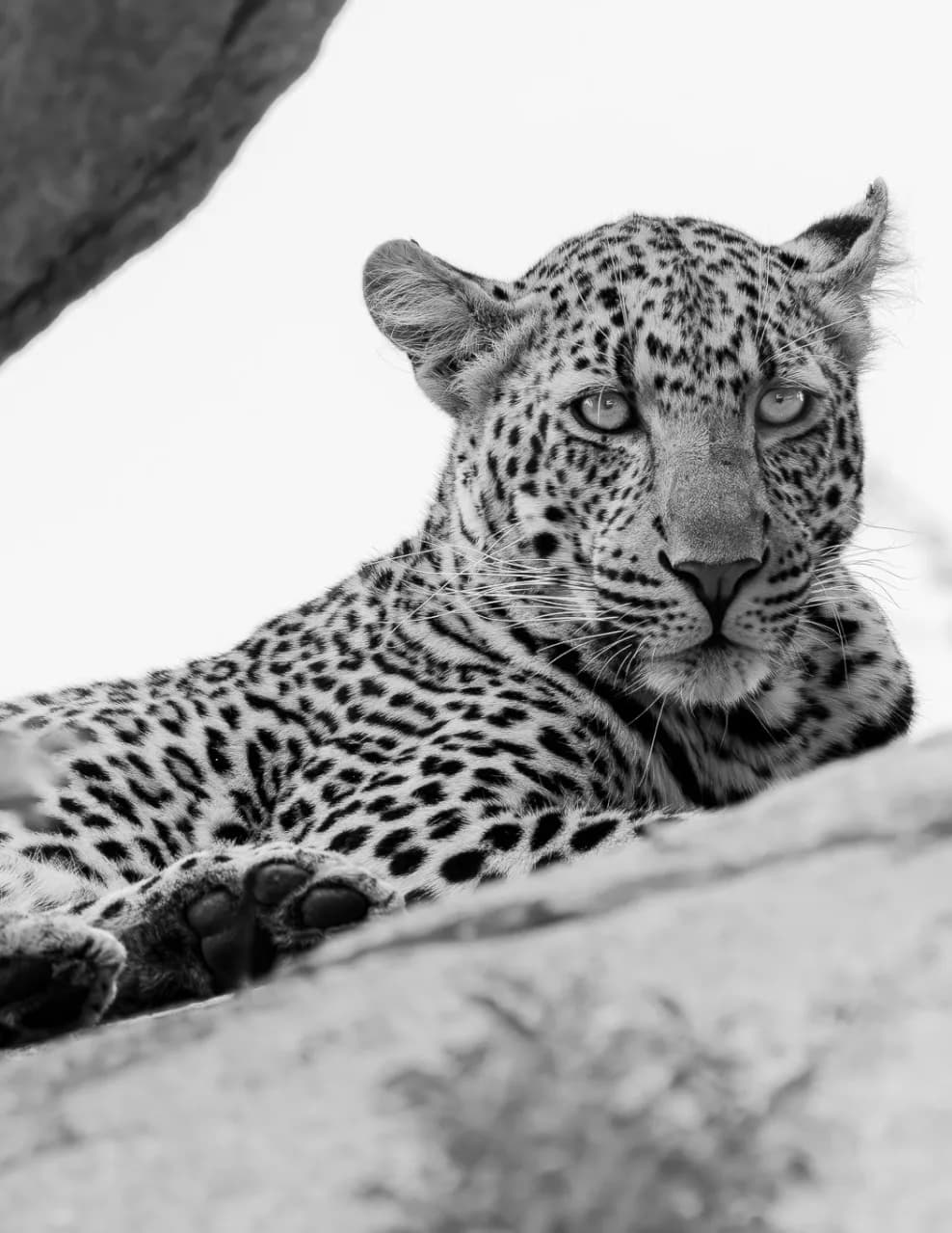 Brian Fryburg Photography image