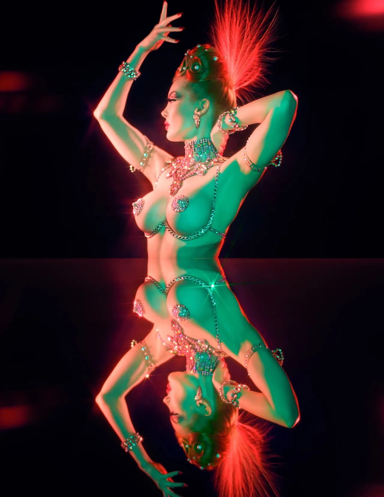 Michel Dierickx image