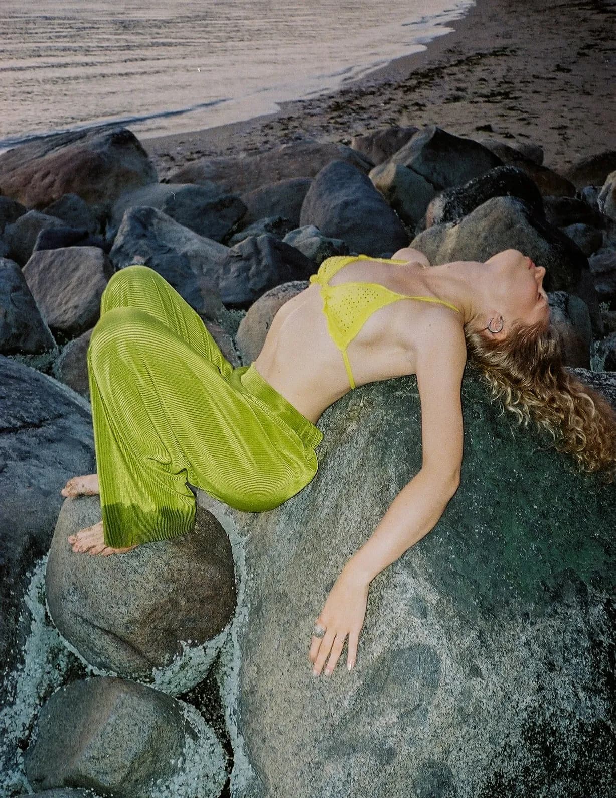Vanessa Alessio image