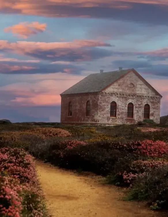 competitor rLo5q