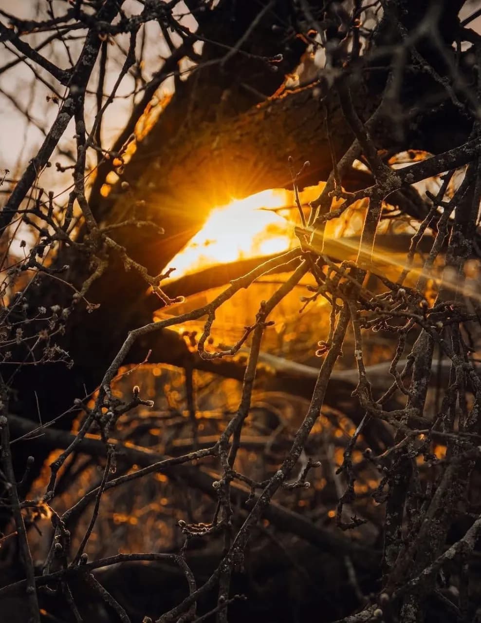 ErwayPhotography image