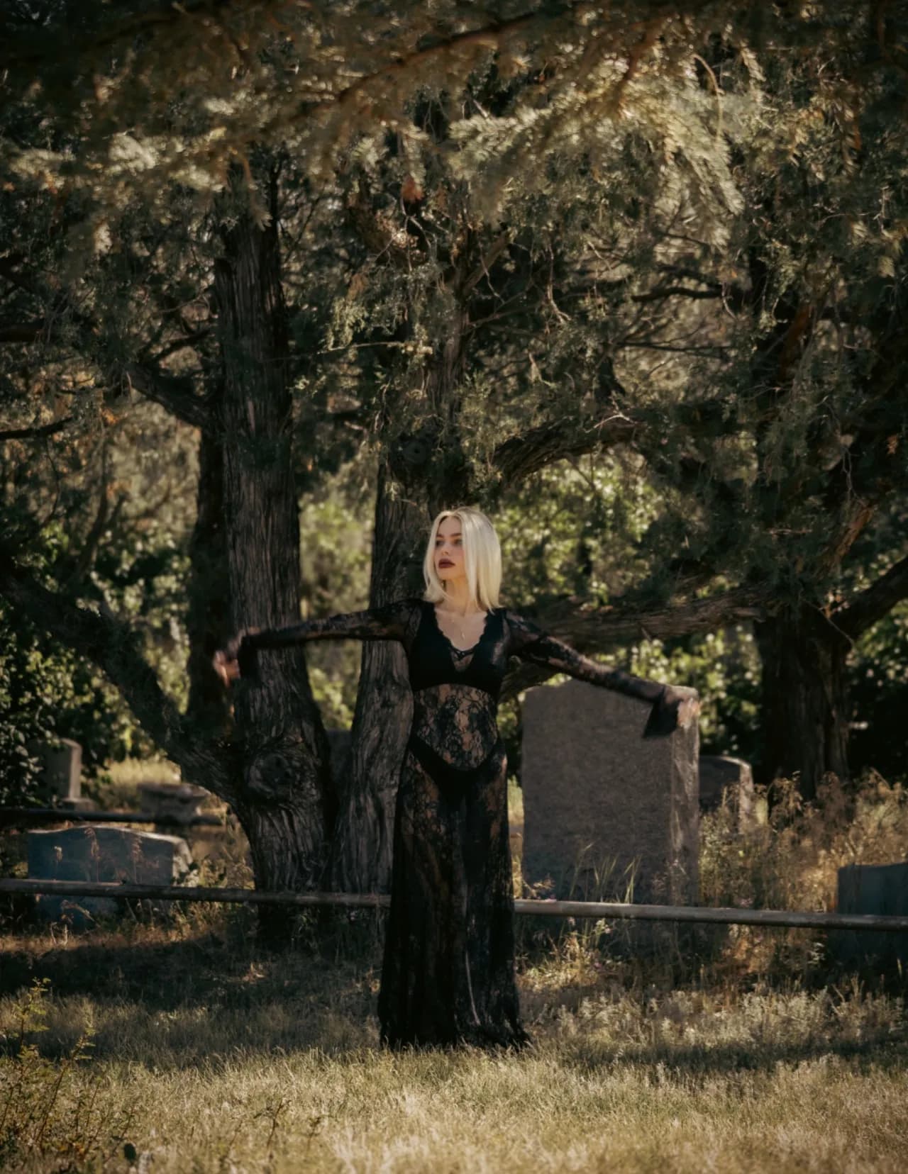 Taylor Sheaffer image