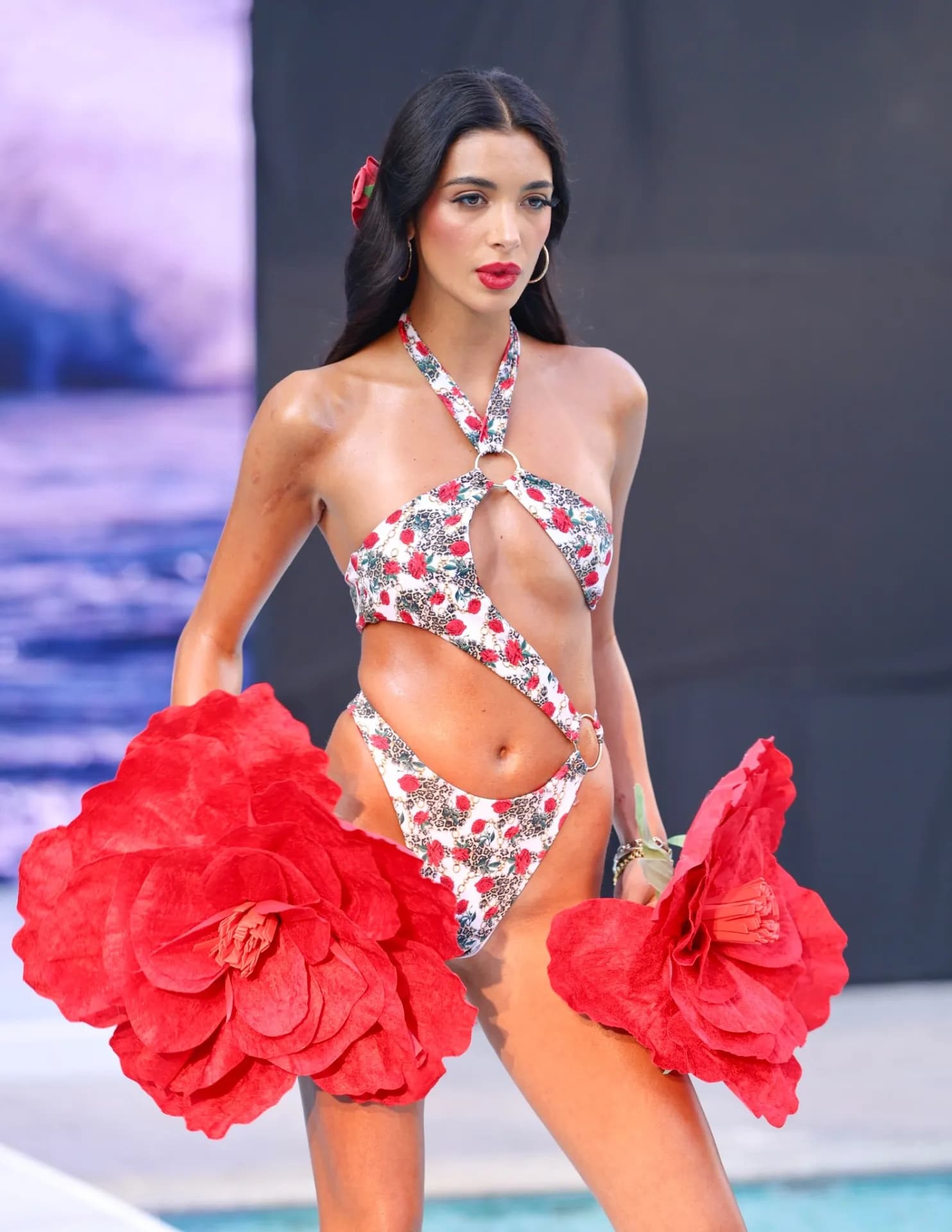 Lisa Nicole image