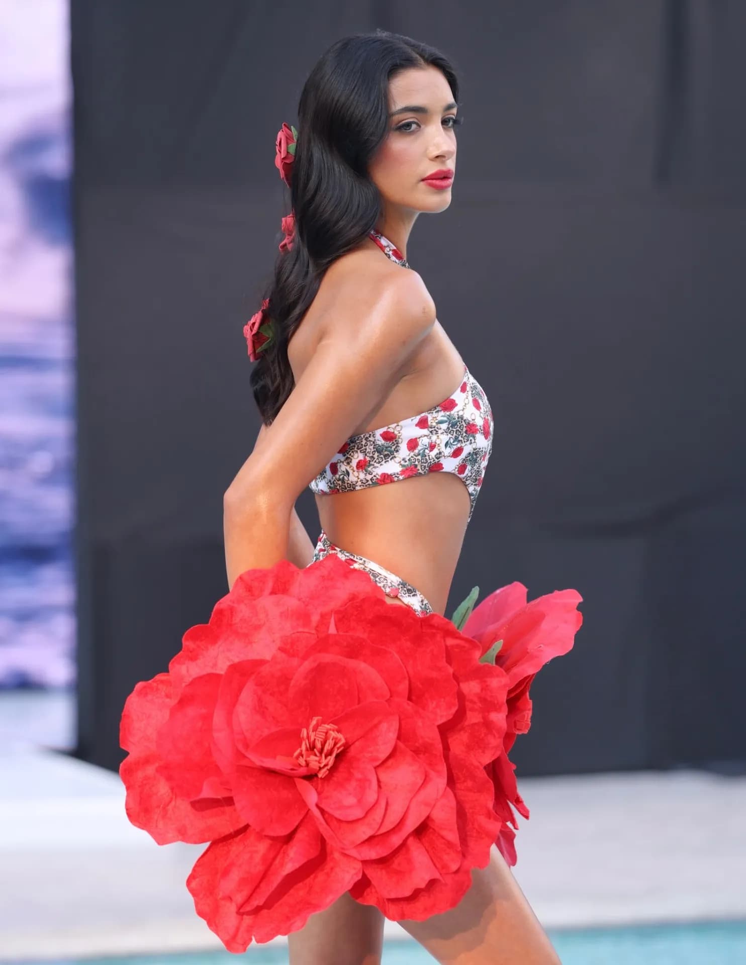 Lisa Nicole image