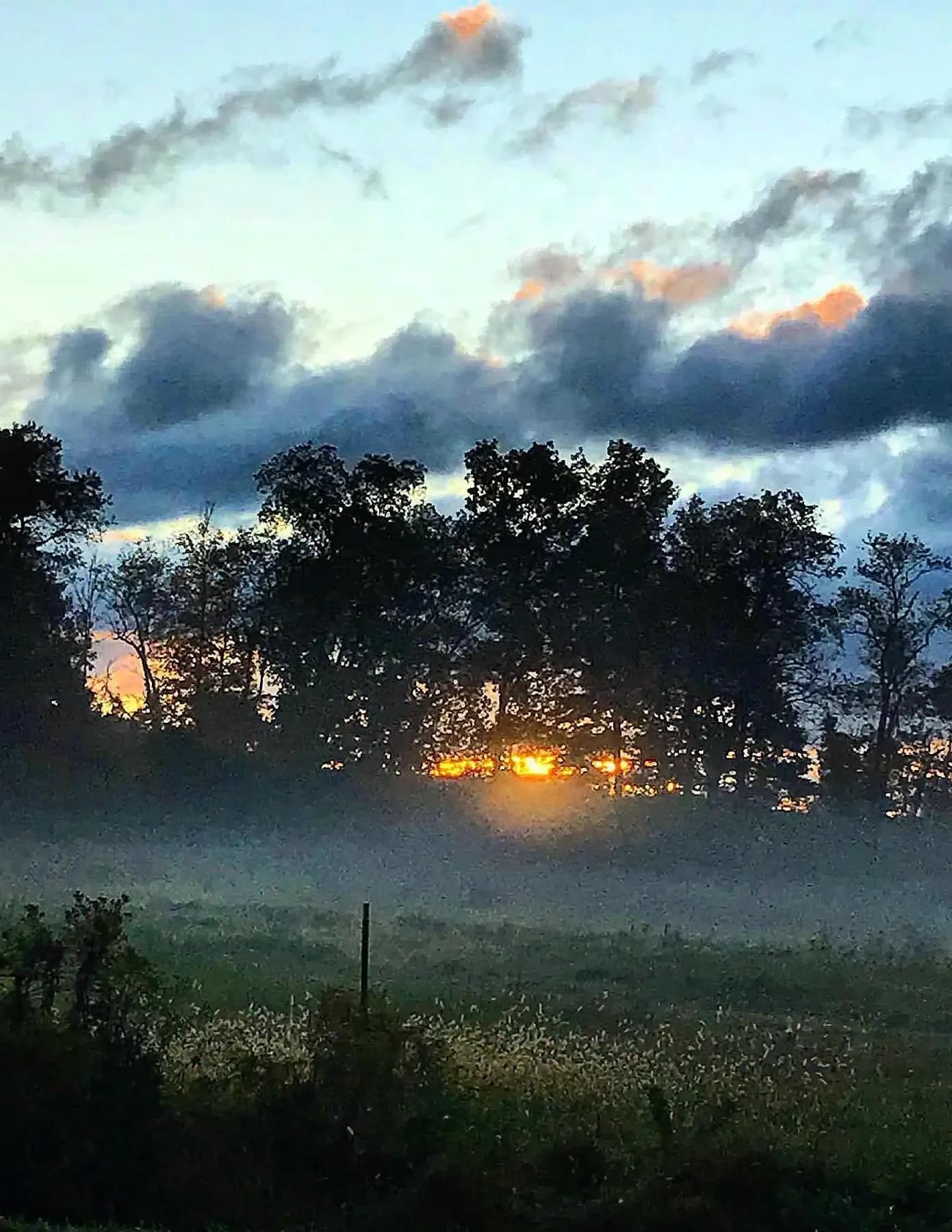 clouted_visionz image