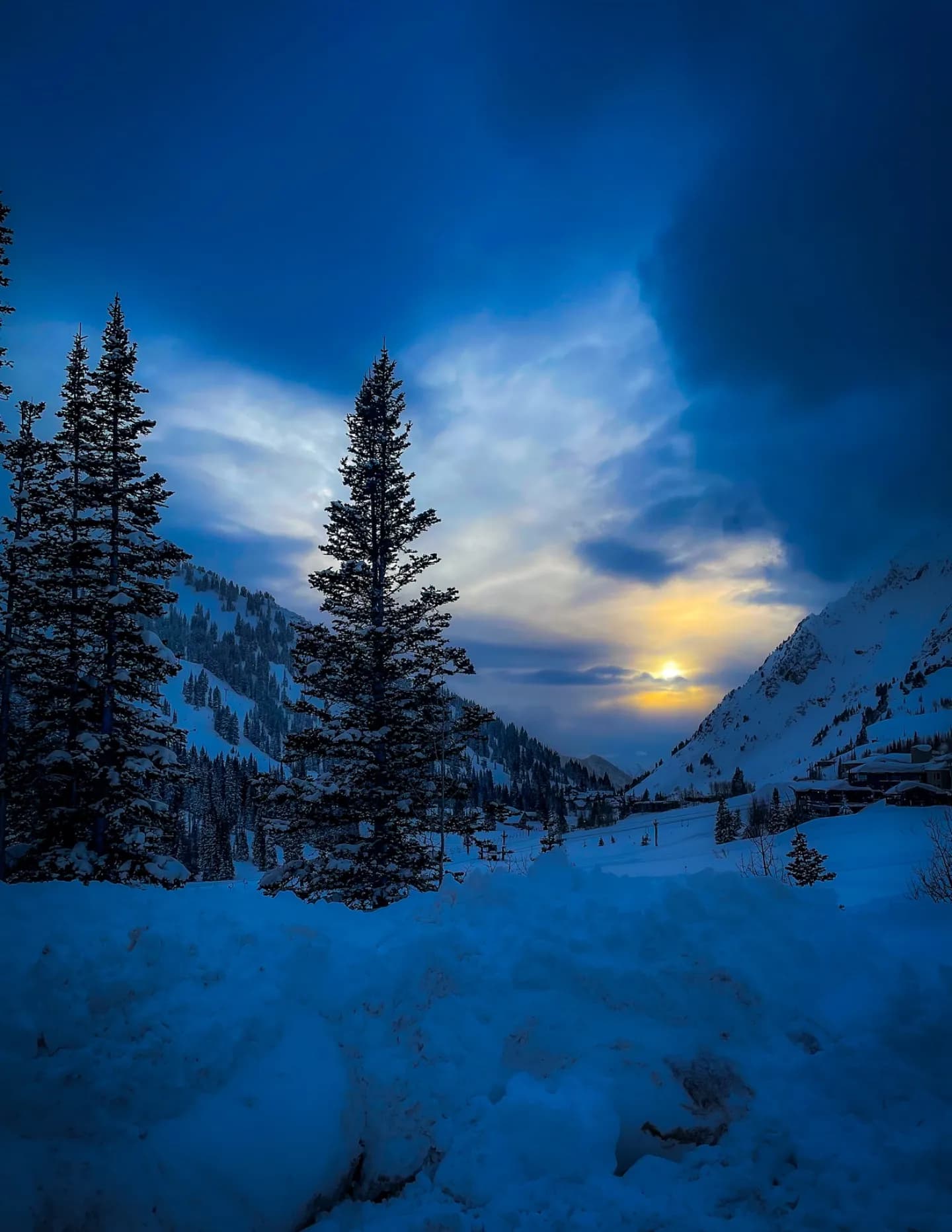 Wild Wood Fine Art & Photography image