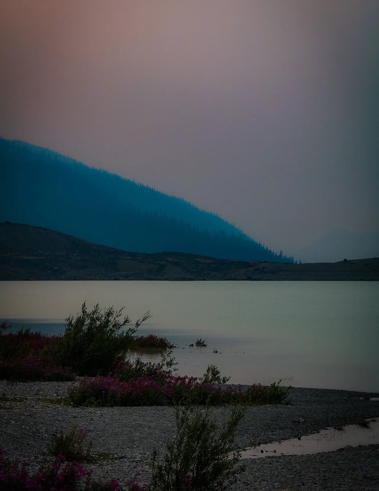 Wild Wood Fine Art & Photography image