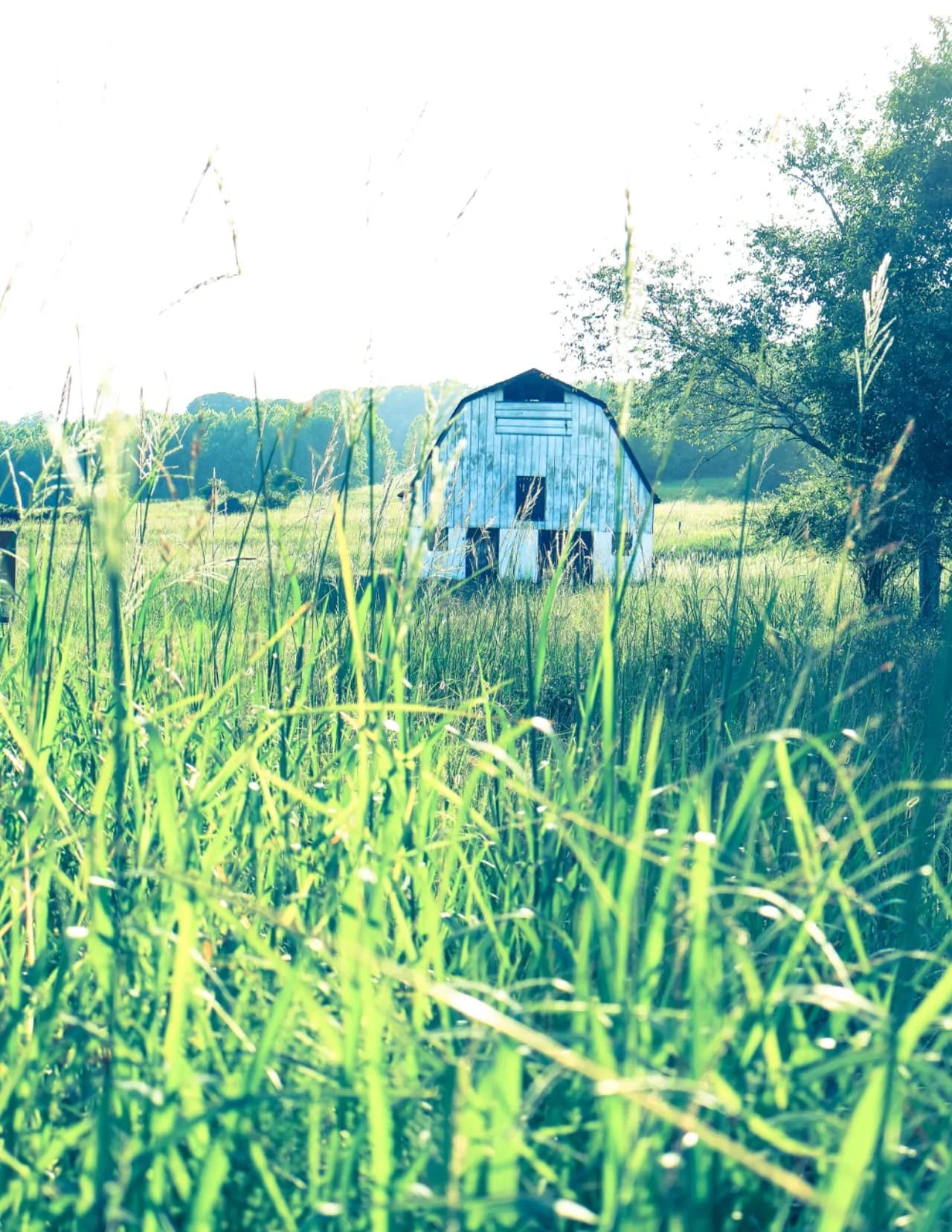 Carla Captured Photography image