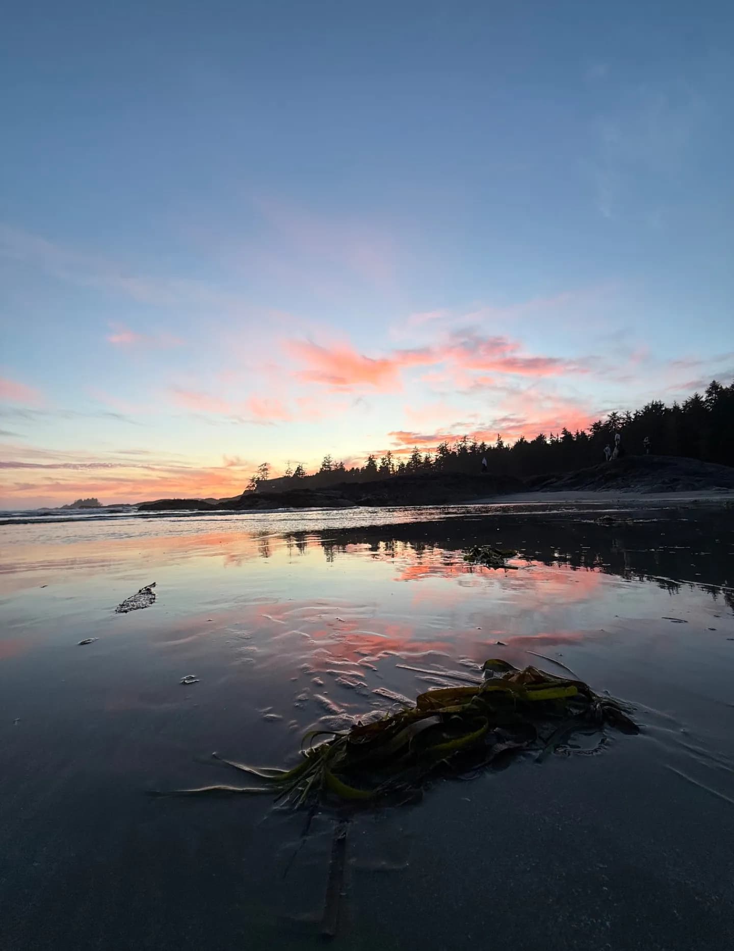 West Coast 🇨🇦 image