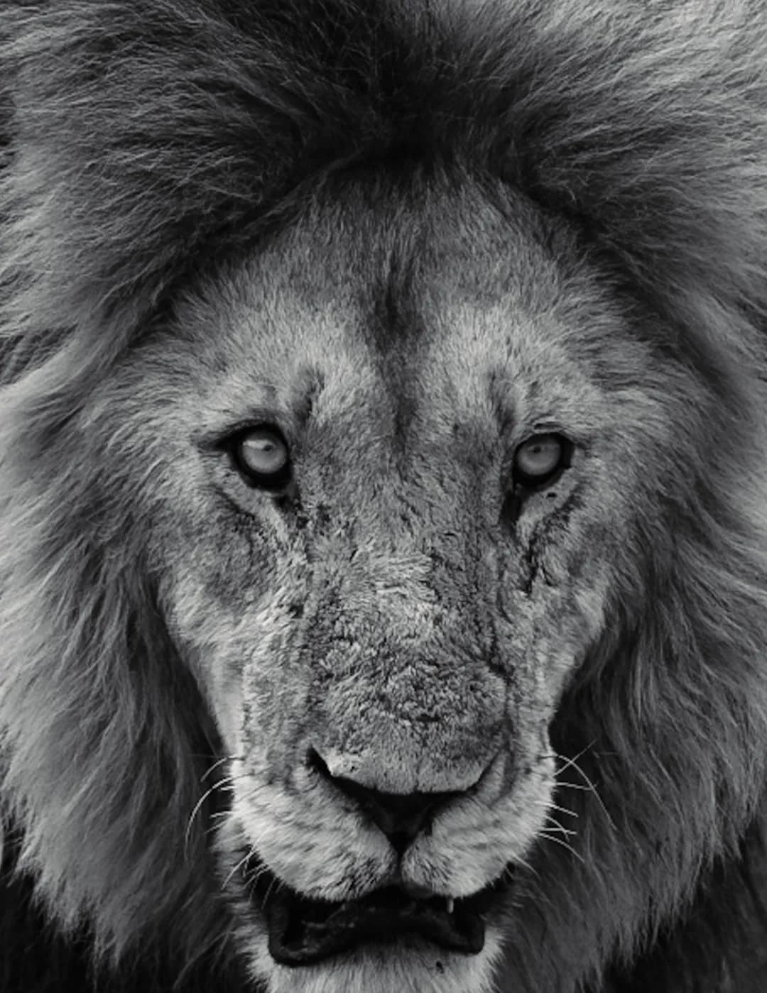 Brian Fryburg Photography image