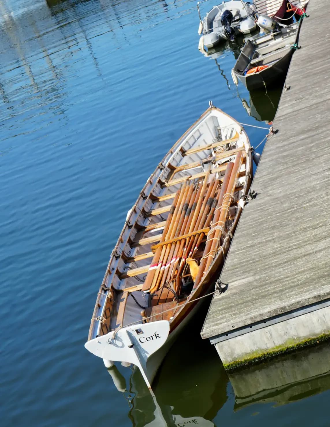 WalterHeld image