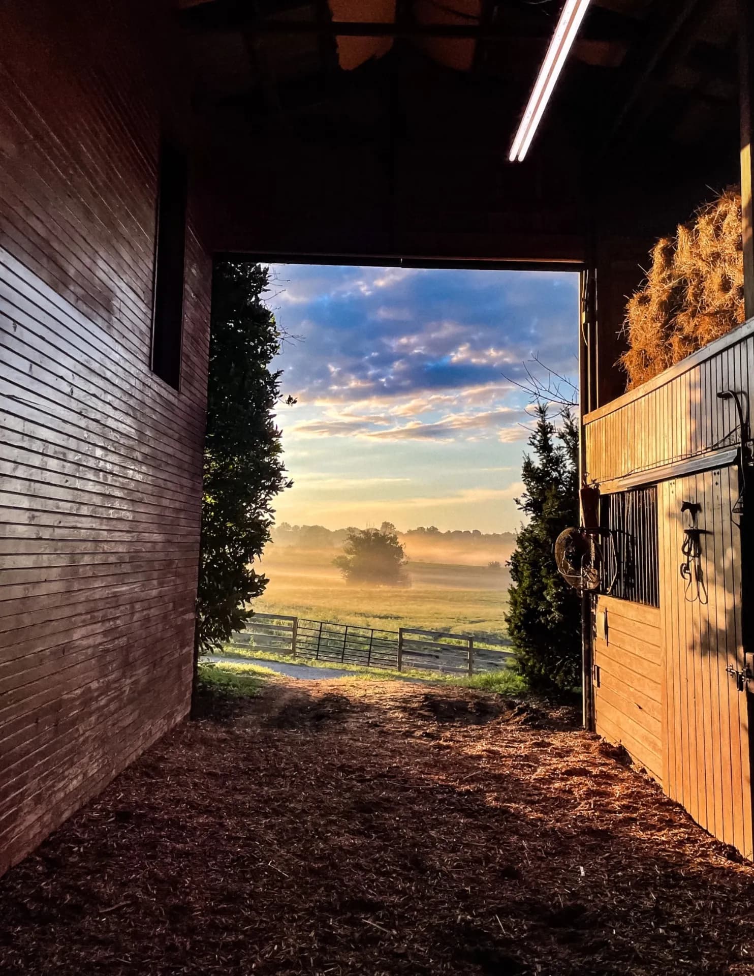 Tracy James Rossouw image