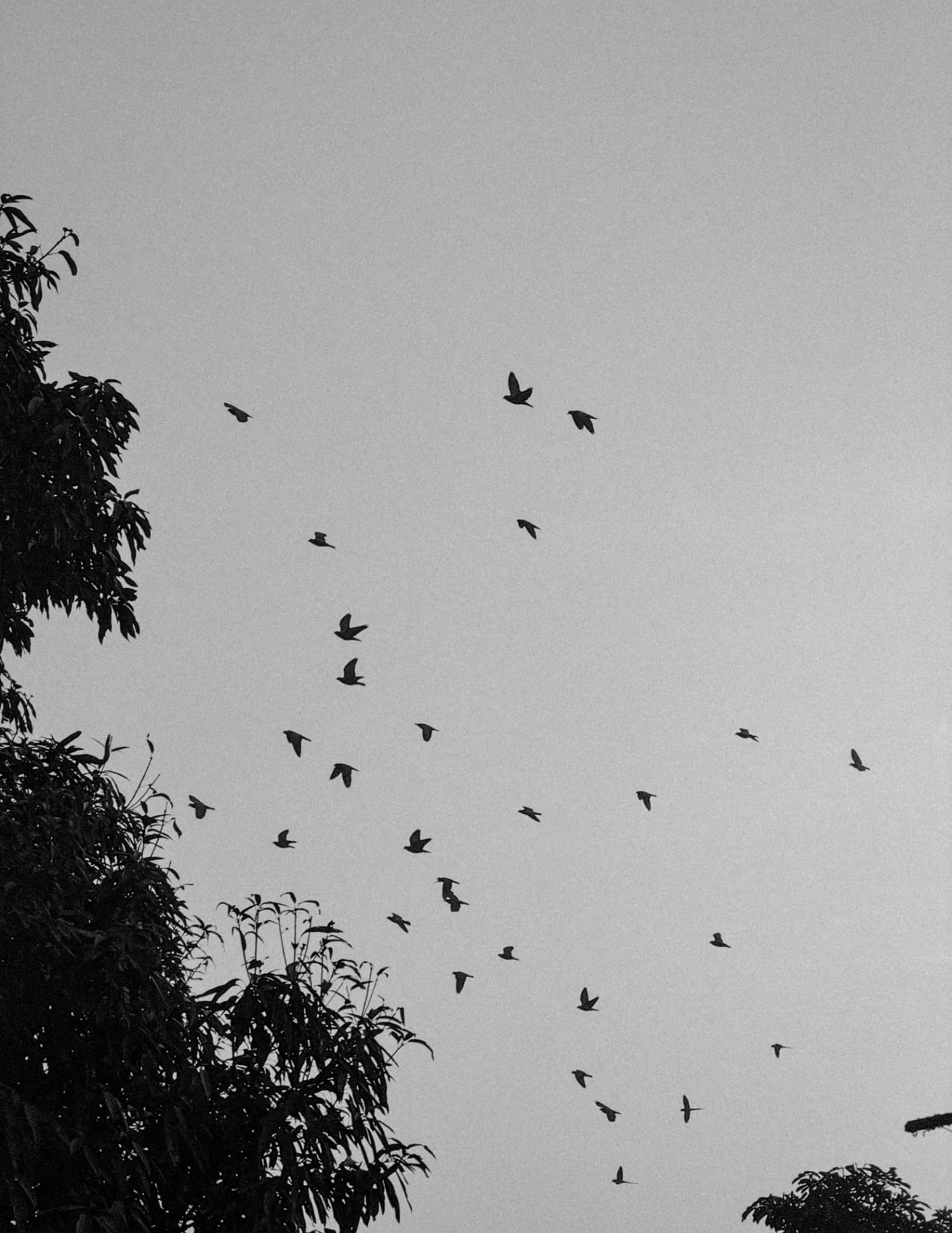 Momentsby_manraj image