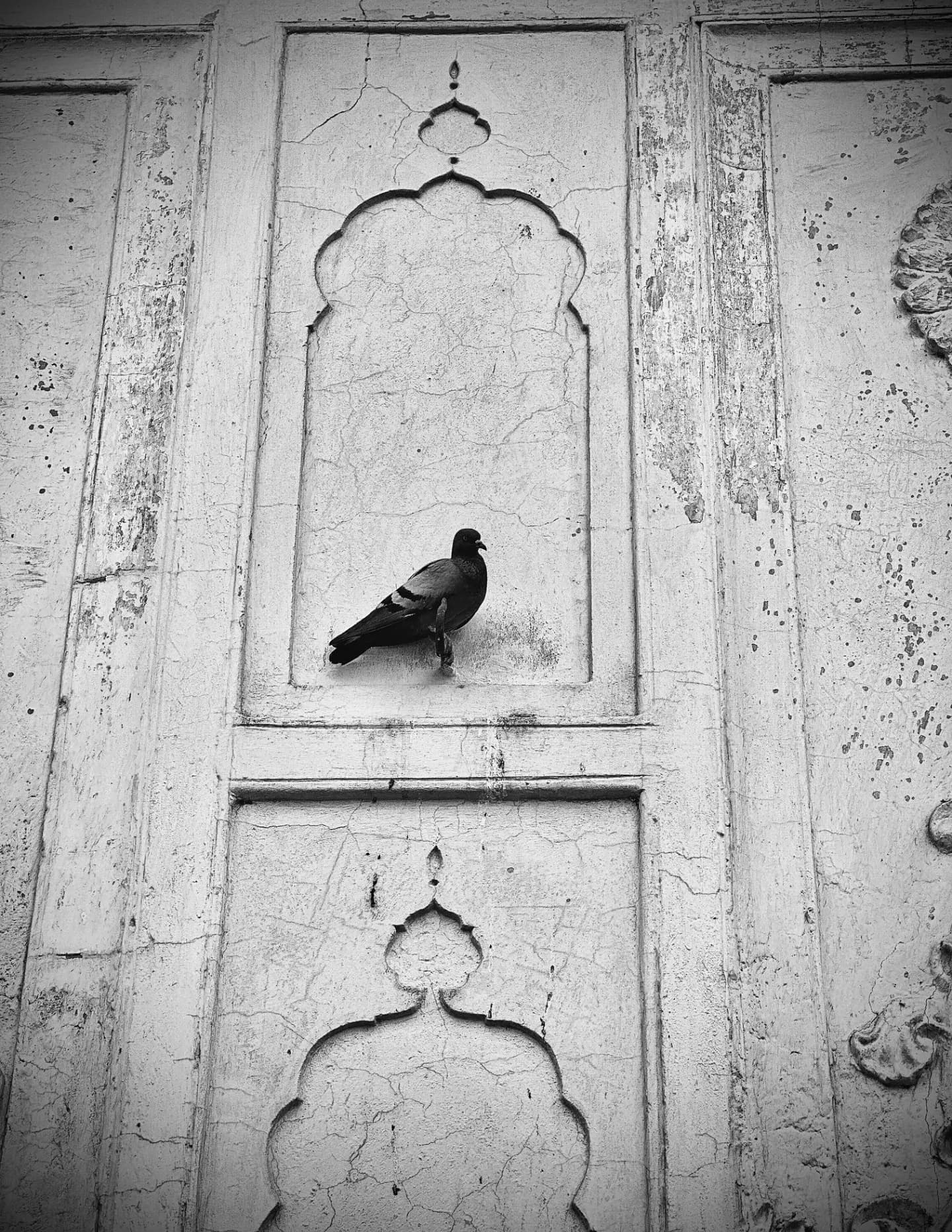 Momentsby_manraj image