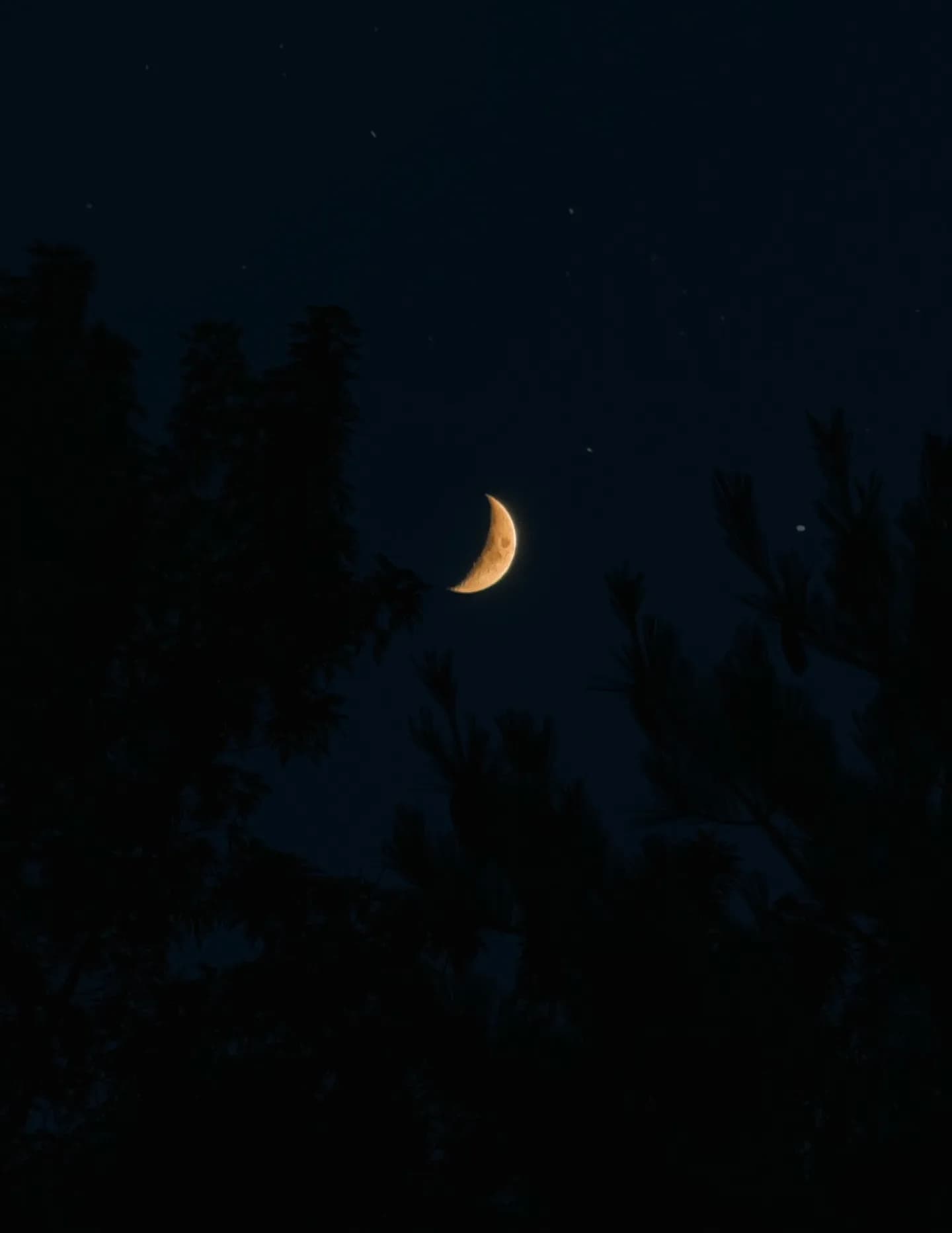 Momentsby_manraj image