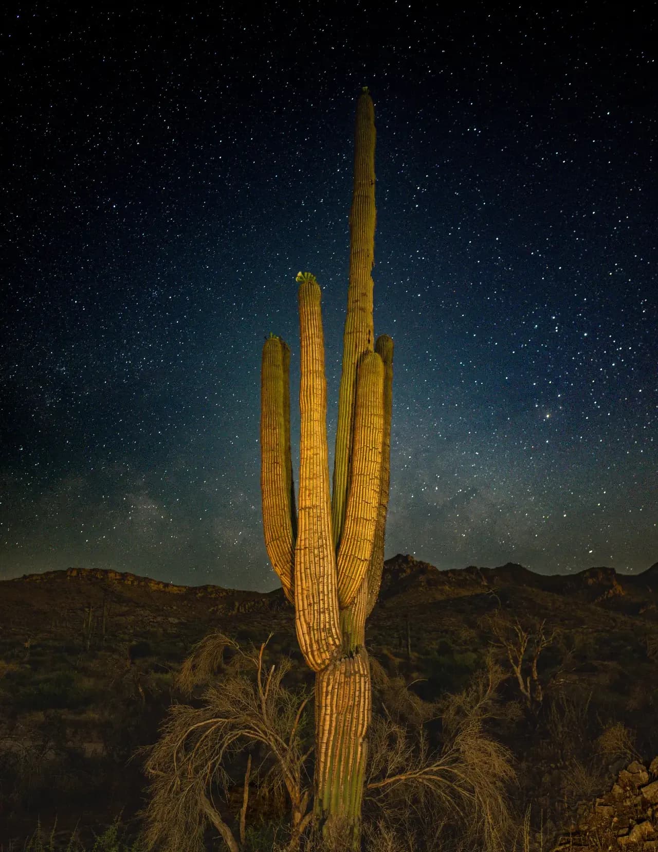 Iseekoutdoorphoto.com image